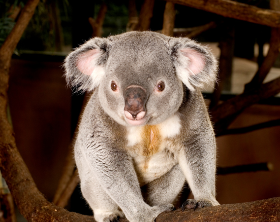 Protect Nature for Future Generations